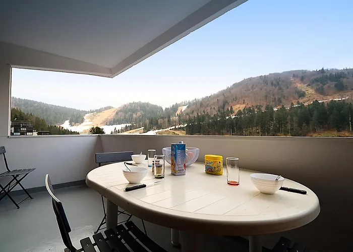 L'ourson Randonneur - Station De A 600m